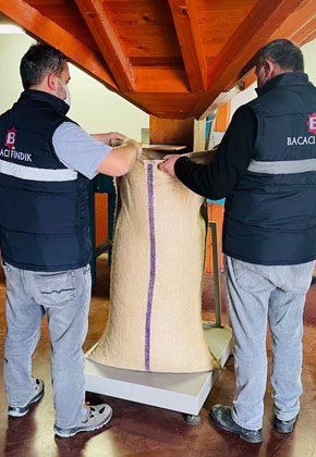 Delivery Mock